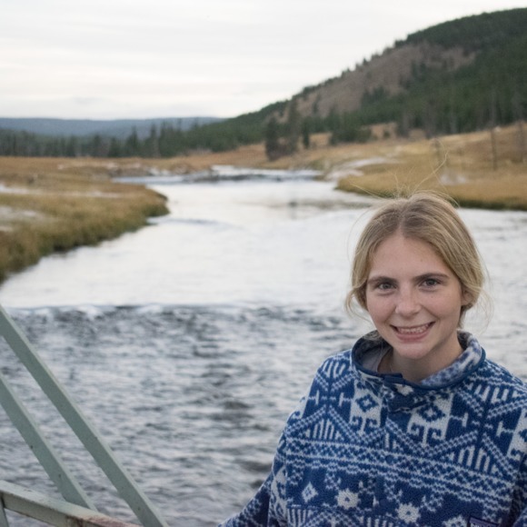 Meet your Posher, Sage - Picture 1 of 1